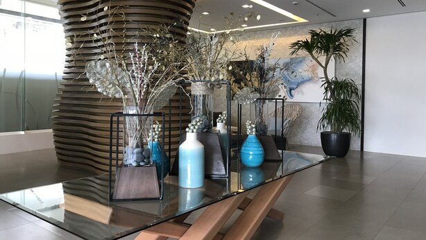 Una moderna zona de recepción con un mostrador de madera curvo, mesas con superficie de vidrio y diversos jarrones y plantas decorativos.