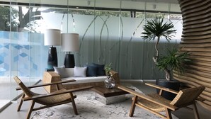 Una sala de estar moderna con un separador de vidrio, muebles de mimbre, una mesa de centro y una planta en maceta.