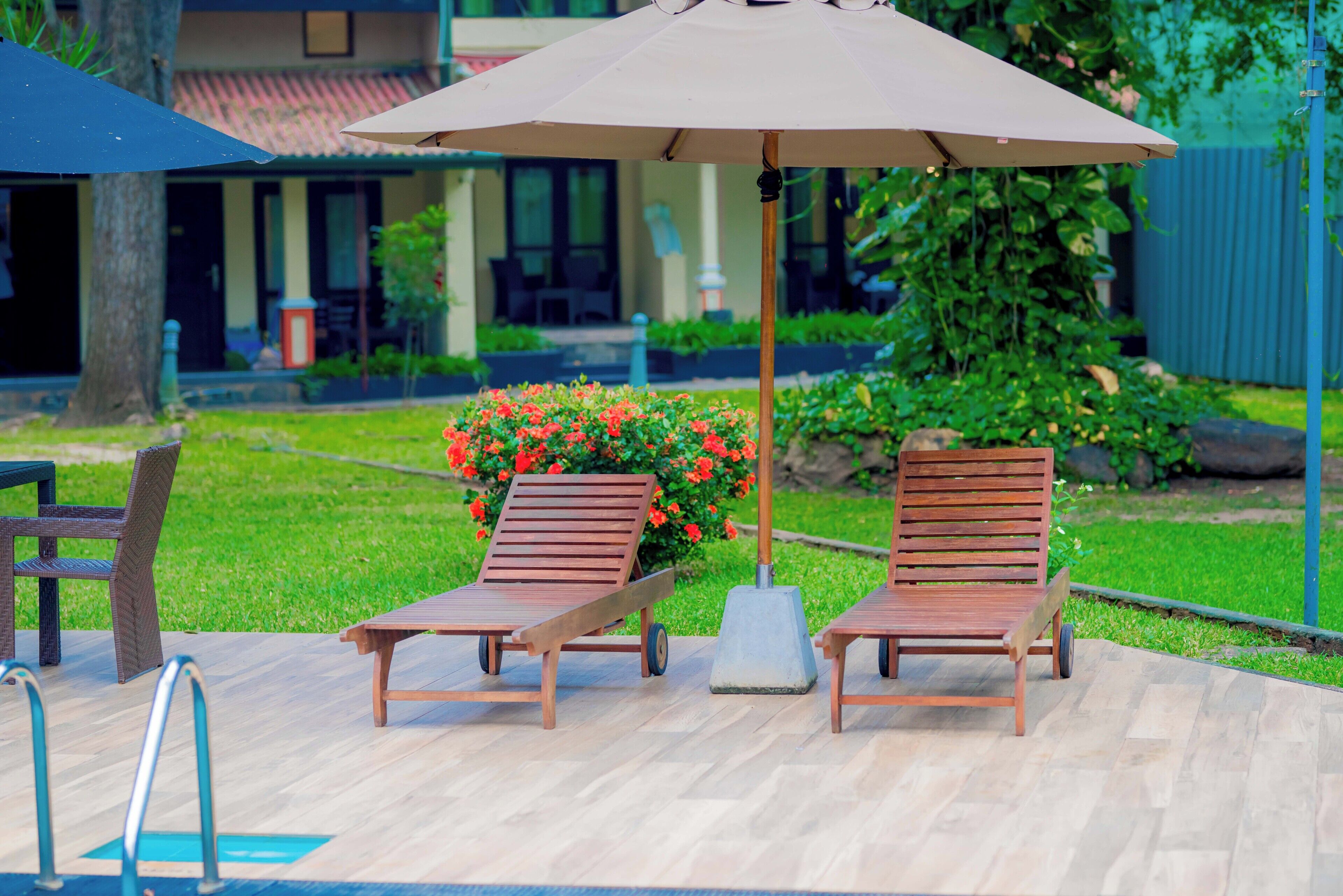 Two wooden lounge chairs with a large umbrella, a poolside area, and a garden with red flowers.