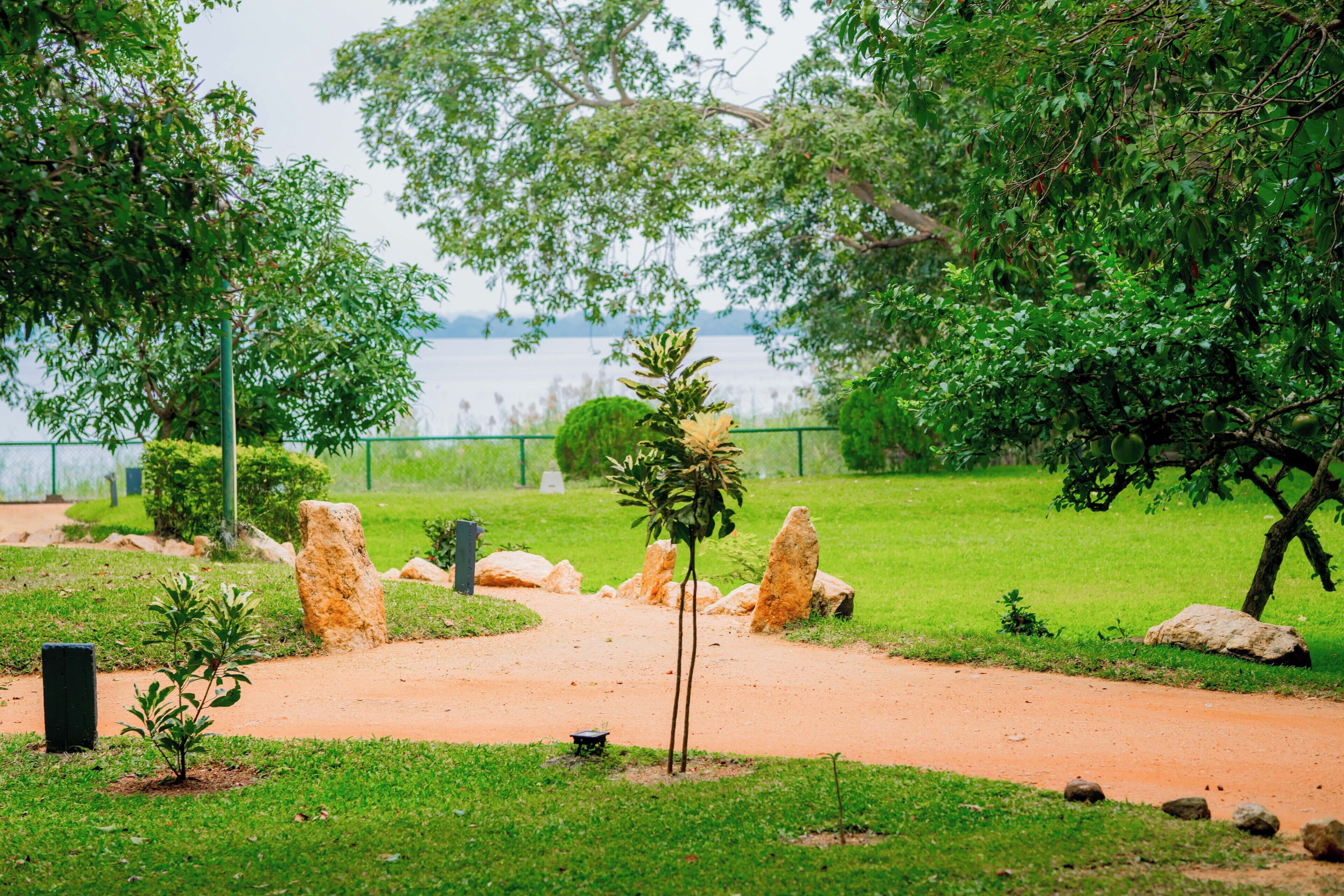 Un parque con un sendero de tierra, césped verde, árboles y una masa de agua al fondo.