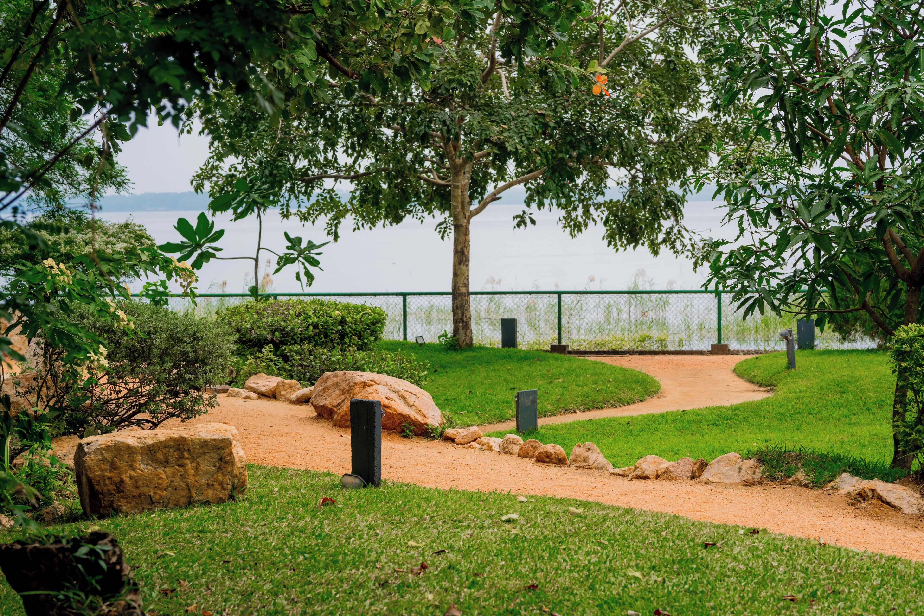 A park with a dirt path, rocks, and greenery.