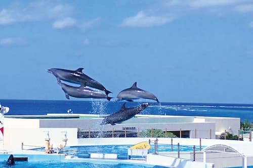 海滩
