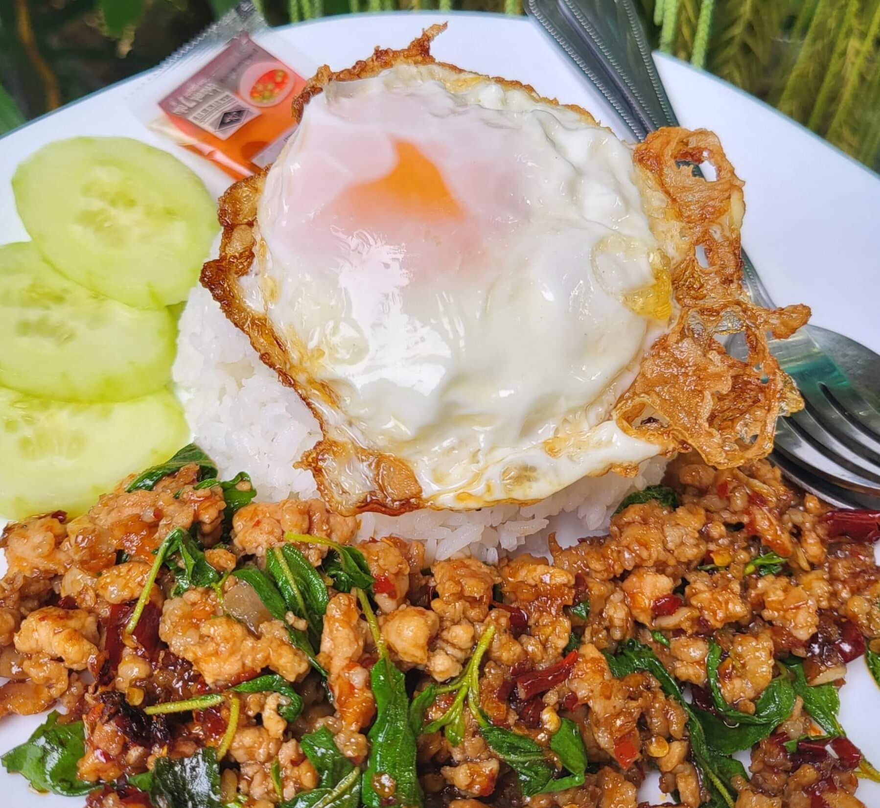 A plate of food with rice, a fried egg, and stir-fried meat.