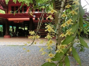 View from property - Big House Resort (Trat)