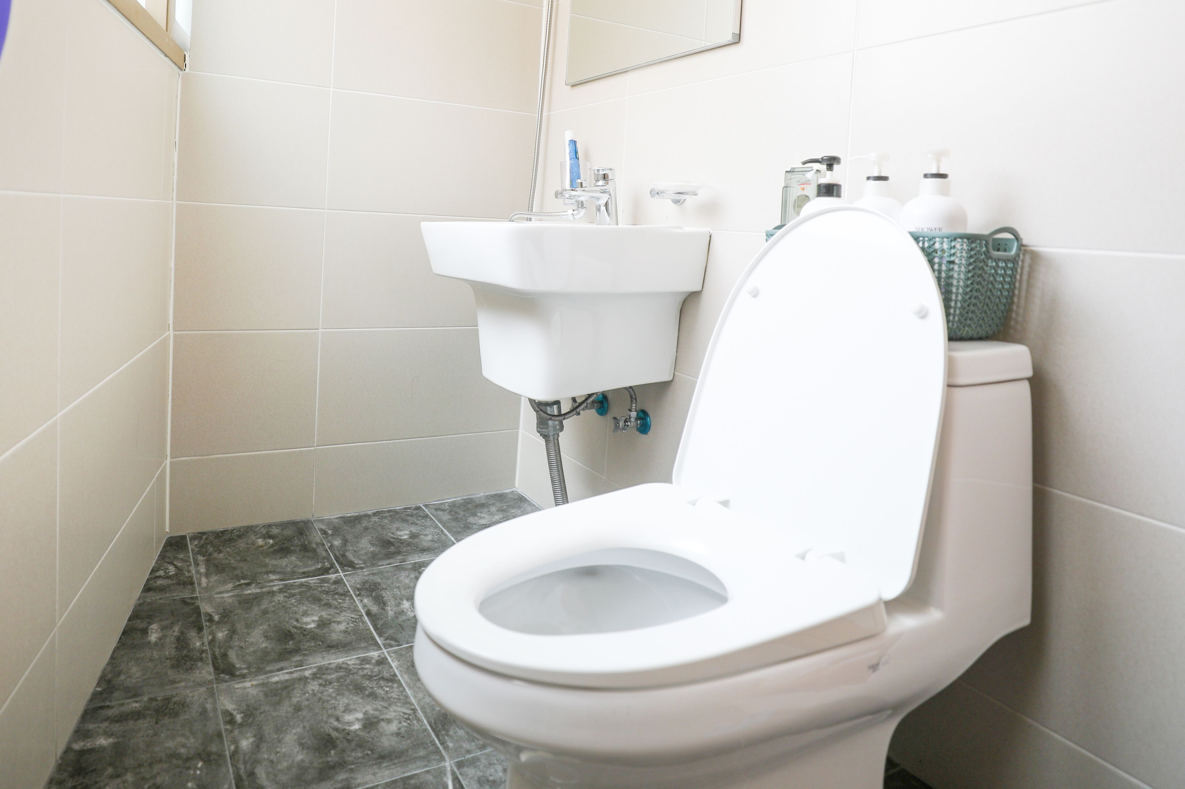 A bathroom with a white toilet, a sink, and a mirror.