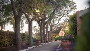 A tree-lined pathway with a lamp post and potted plants. - Kinar Galil (Ramot)