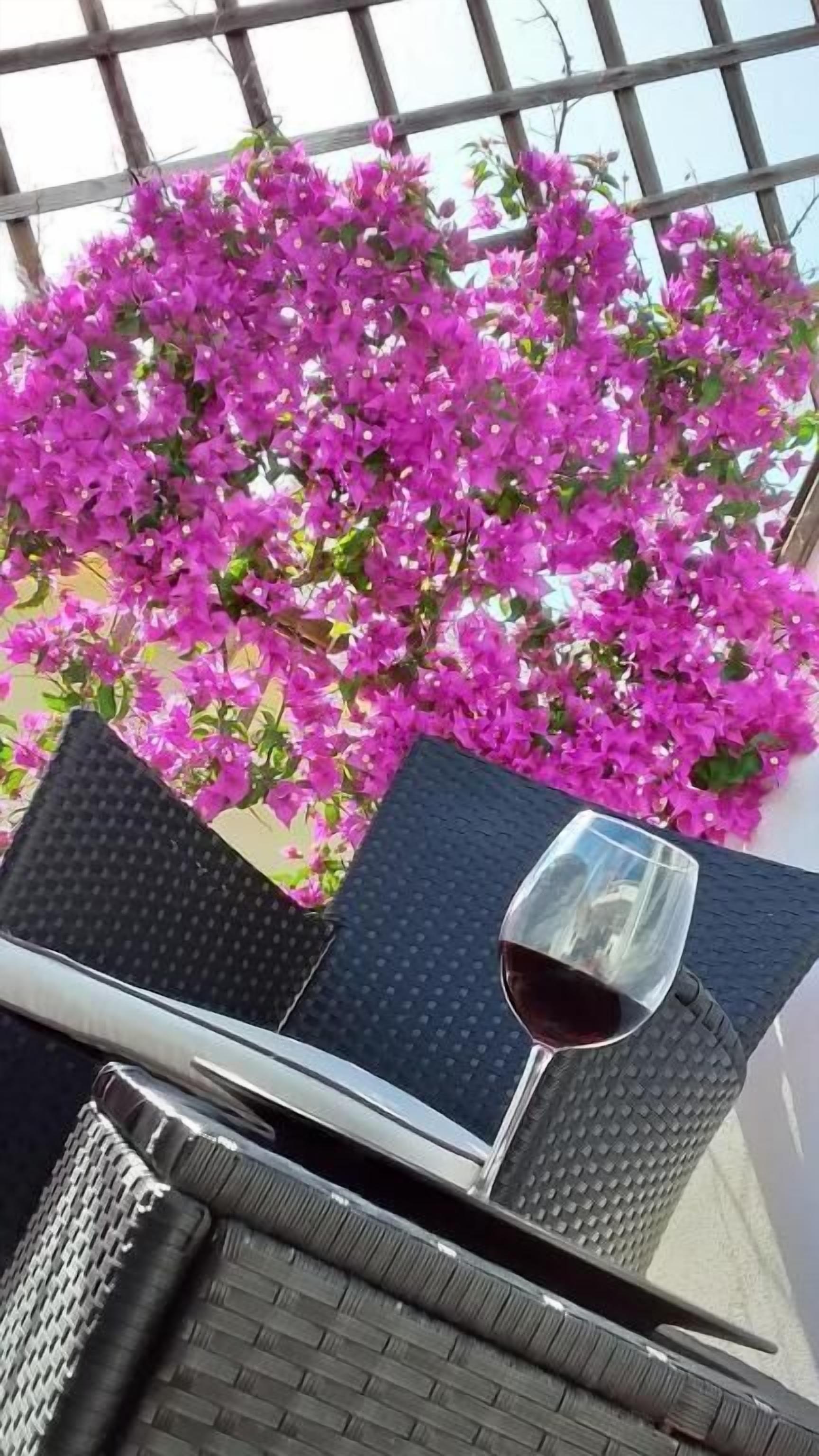 Photo - Maison Margherita