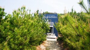 A building labeled "THE BONDS" with a pathway leading to it, surrounded by pine trees.