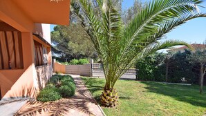 A pathway leading to a building with a palm tree in the foreground. - Apartments Jeromela (Fazana)