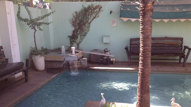 Una piscina pequeña al aire libre con una cascada, rodeada por un muro bajo, bancos y una palmera.