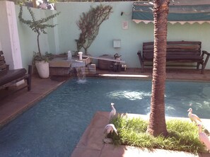 Una piscina pequeña al aire libre con una cascada, rodeada por un muro bajo, bancos y una palmera.