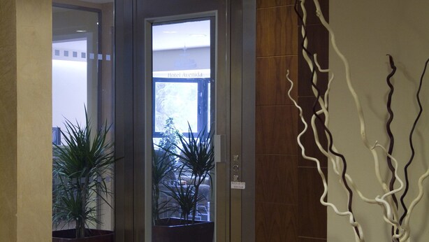 A modern hotel lobby with a wooden floor, a reception desk, and a large vase with a decorative branch. - Hotel Avenida (Requena)