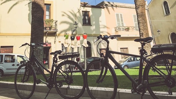 Une rue bordée de palmiers, où l’on voit des vélos et des immeubles.