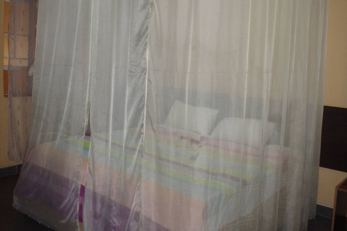A room with a bed under a canopy, a ceiling light, and a window with curtains.