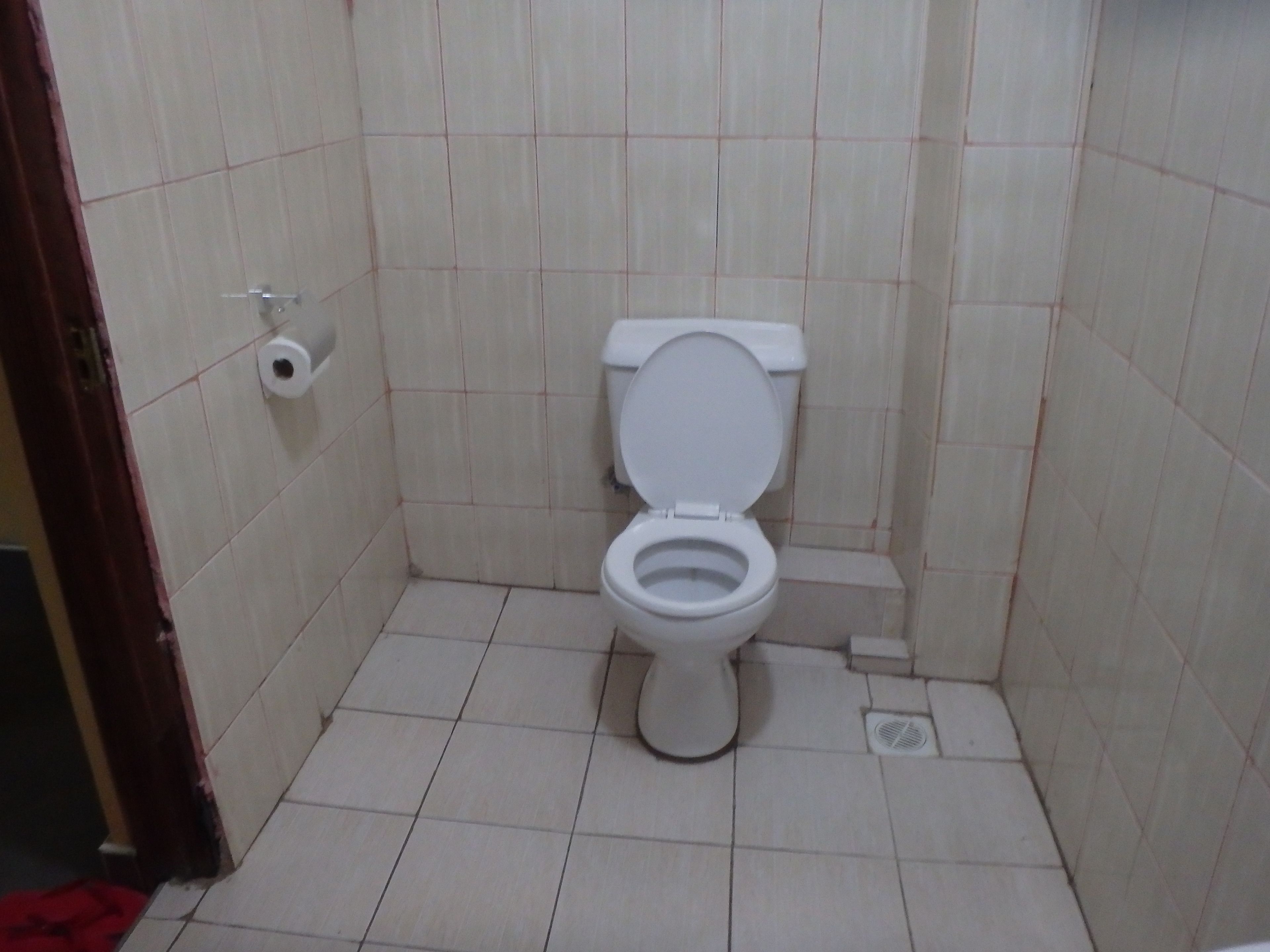 A small, tiled bathroom with a toilet, a roll of toilet paper, and a vent on the floor.