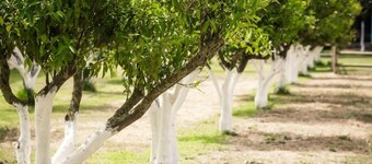 Agriturismo Archelao