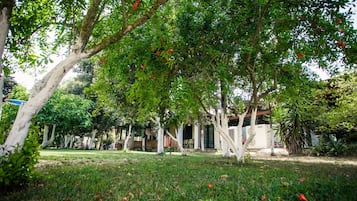 Khuôn viên nơi lưu trú