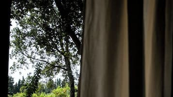 Une vue à travers une fenêtre avec des rideaux, dévoilant un jardin avec des arbres et un sentier.
