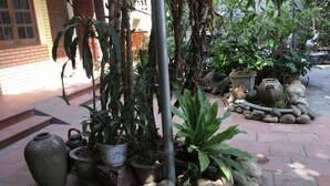Un patio con plantas en macetas, un camino de piedra y un edificio tradicional con contraventanas de madera.