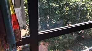 Ventana con vistas a vegetación y un edificio.