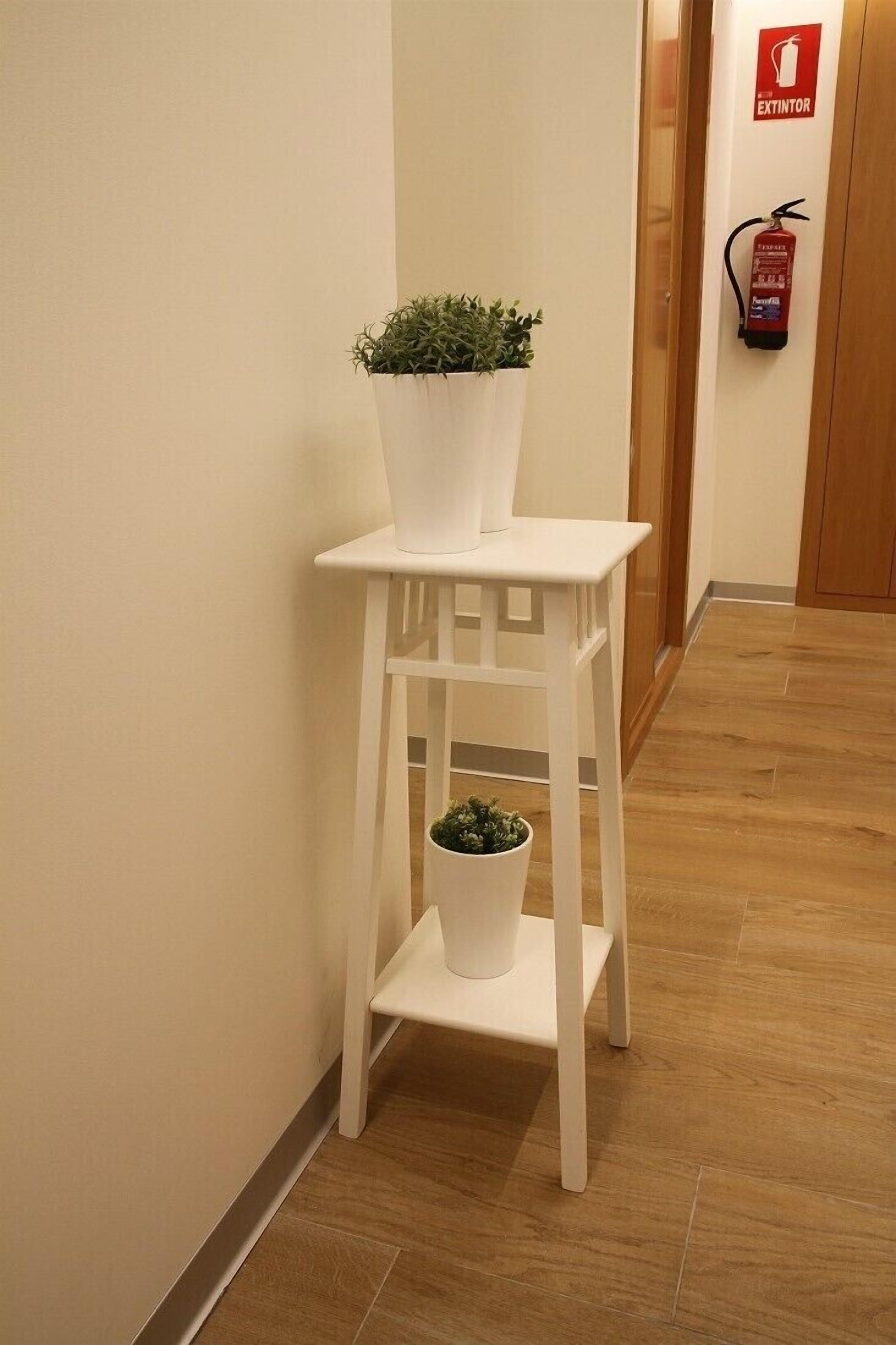 Foto - Hostal Mónaco