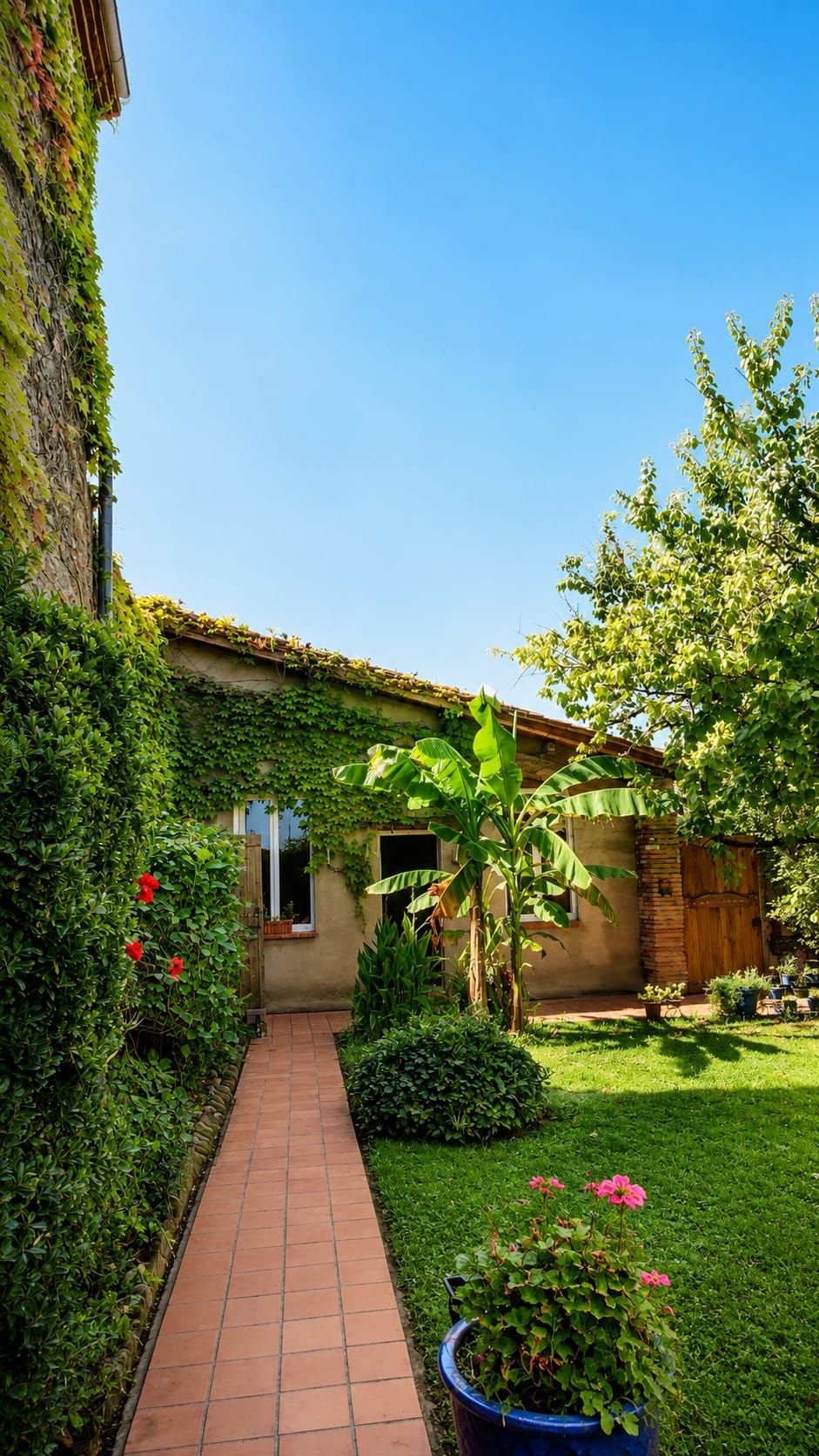 Garden