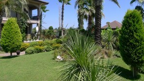 Garden - Villa Demirkaya (Kemer)