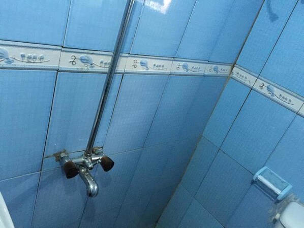 Une salle de bain avec des carreaux bleus, une pomme de douche et un distributeur de savon.