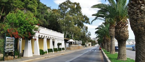 A street lined with palm trees and a building with a white facade and arches.
