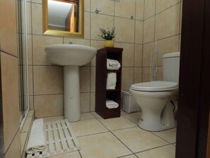 Economy Double Room | Bathroom | Shower, free toiletries, hair dryer, towels - Ledumo Lodge (Emalahleni)