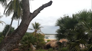A tropical beach scene with palm trees and a rocky outcrop. - Redhill Yala (Kirinda)