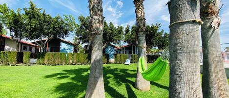 A well-maintained grassy area with palm trees, a hammock, and a clear blue sky.