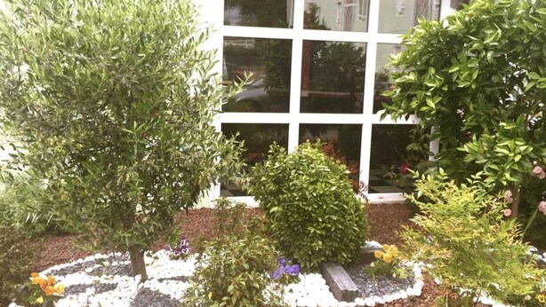 Ein Haus mit grüner Fassade, einem schwarz-weiß gestreiften Markisenvorbau und einem Garten mit verschiedenen Sträuchern und Blumen.
