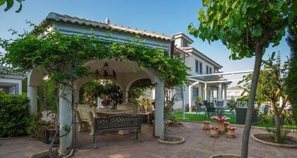 Fidalsa White House Premium