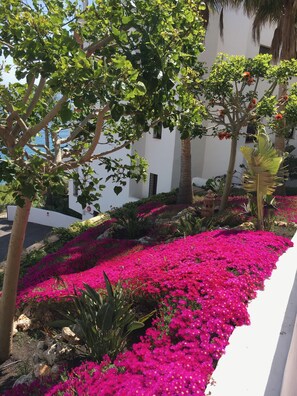 المنطقة المحيطة بالمنشأة