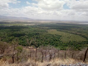 Vista desde la habitación