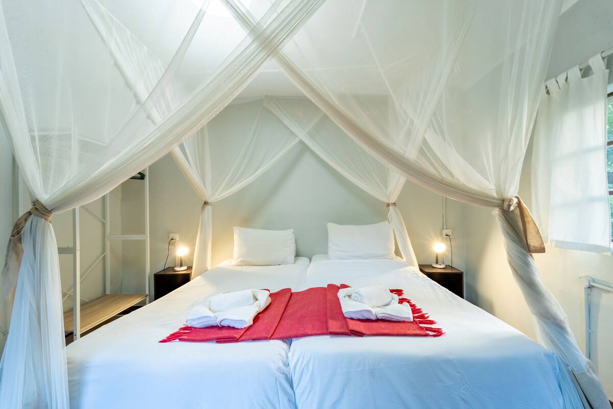 A room with a bed under a canopy, white bedding, and two bedside lamps.