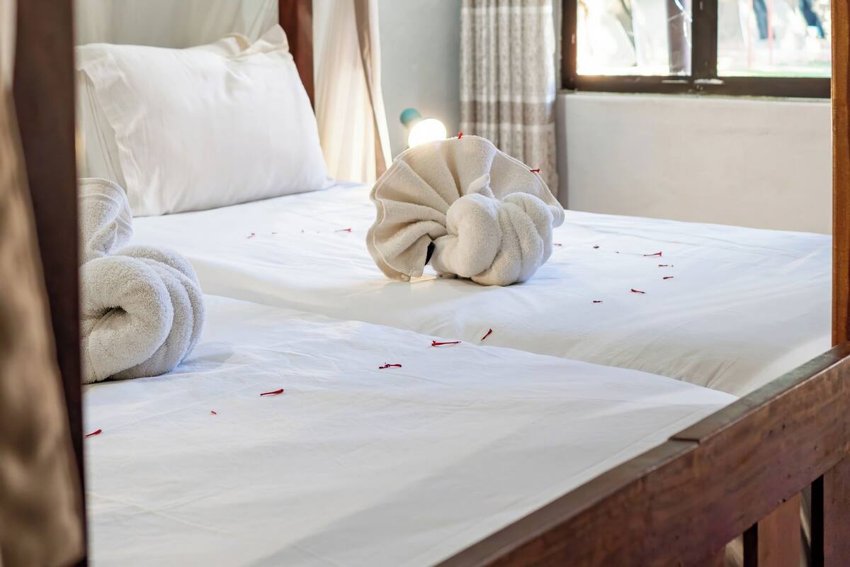 A bed with a canopy, a window with a view of greenery, and a bedside table with a lamp.