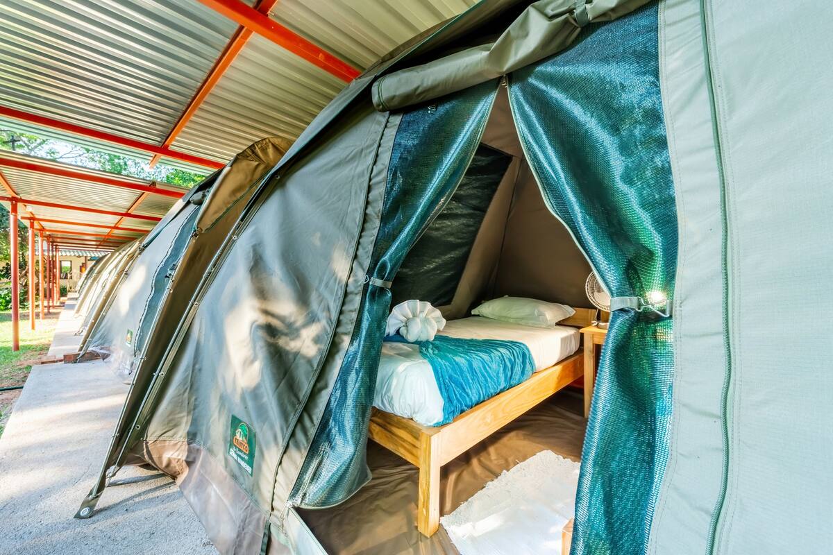 A tent with a bed inside, a fan, and a window.