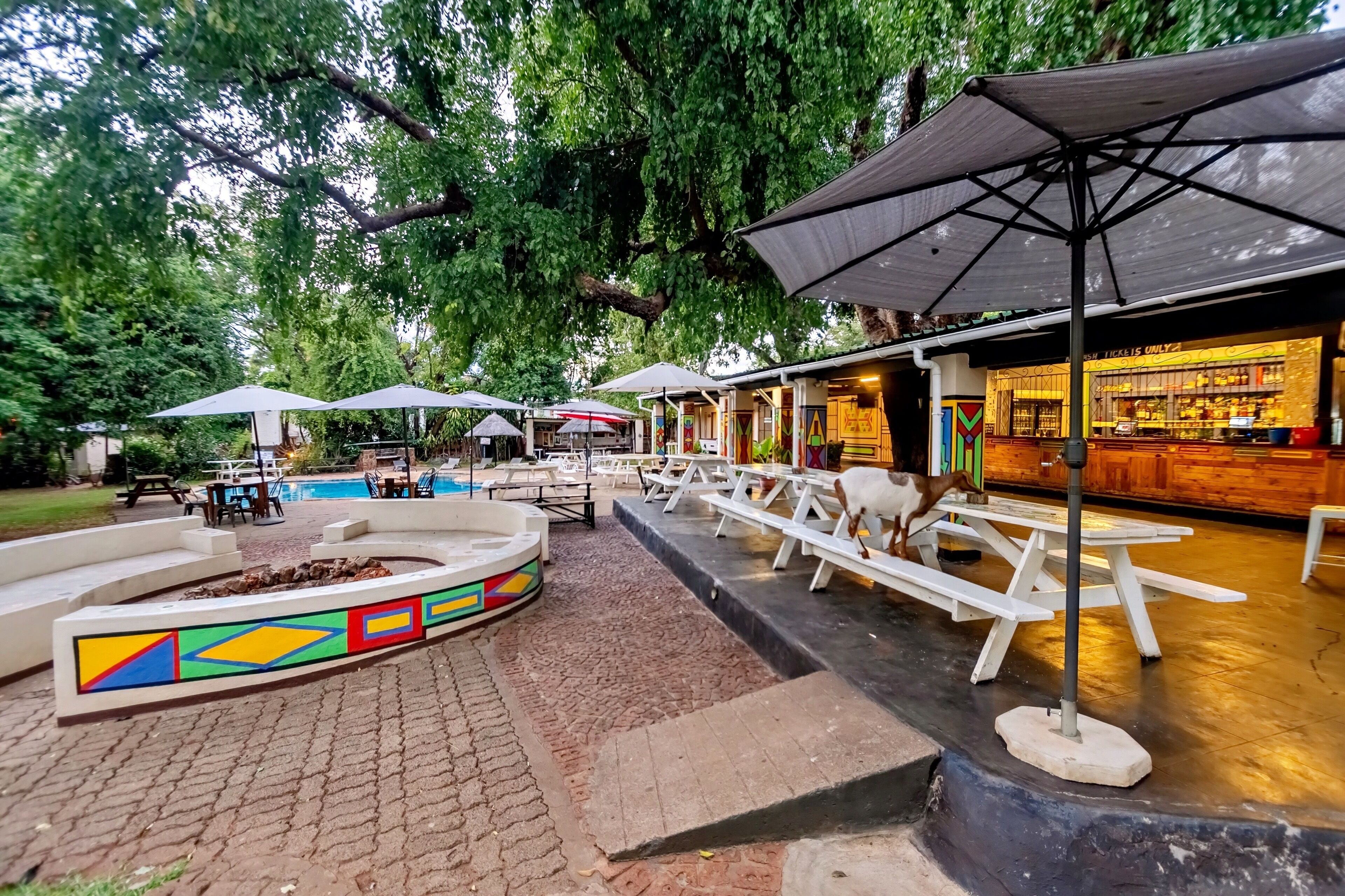 朝食、ランチ、ディナーに営業 (郷土料理と各国料理)