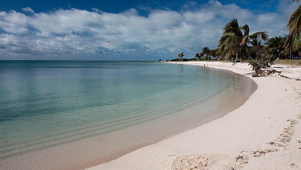 Een strand met helder turquoise water, wit zand en palmbomen onder een blauwe lucht.