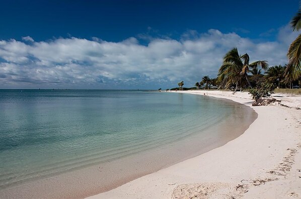 A beach with clear turquoise water, white sand, and palm trees under a blue sky.