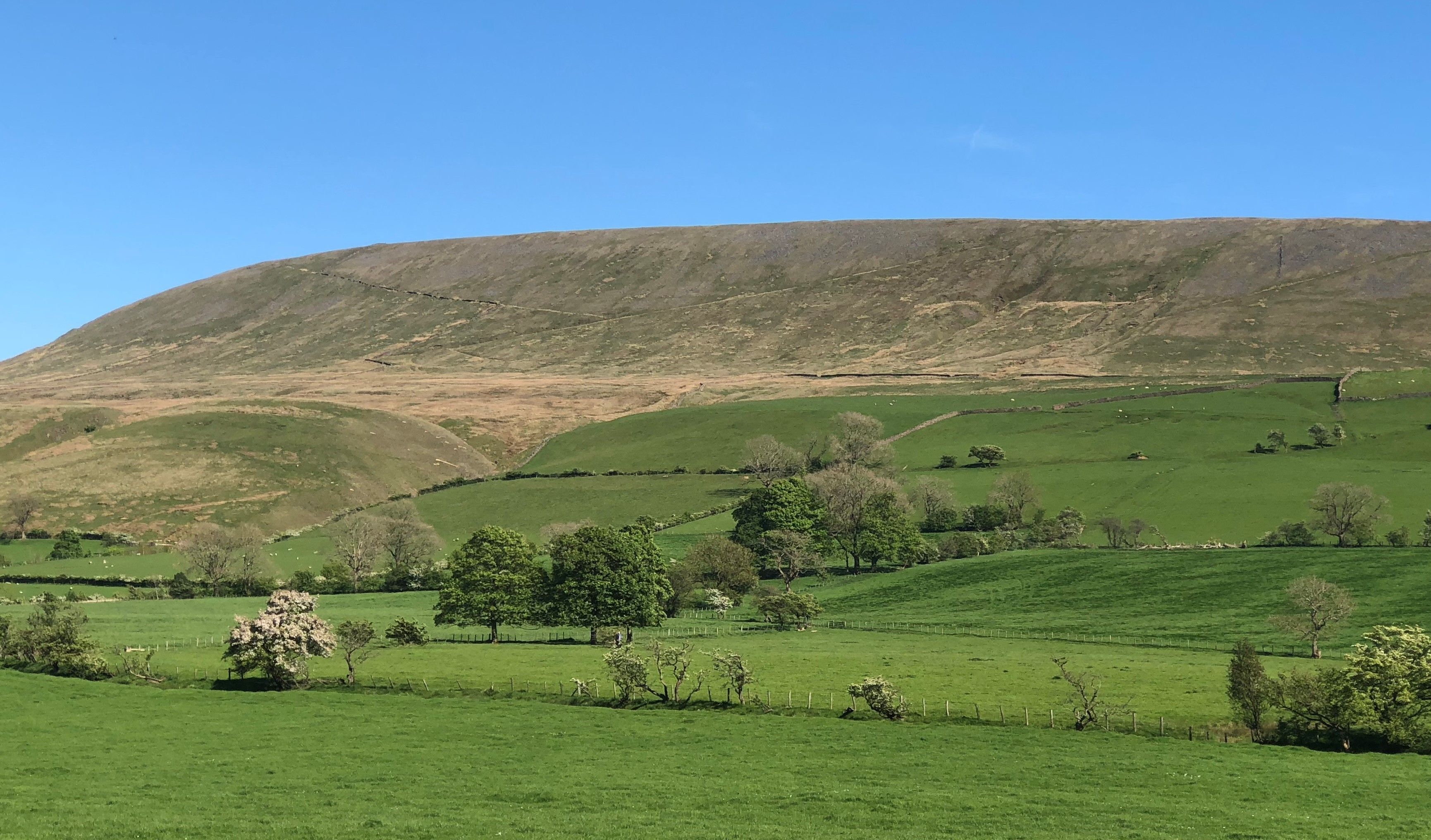 Photo - Calf's Head Hotel