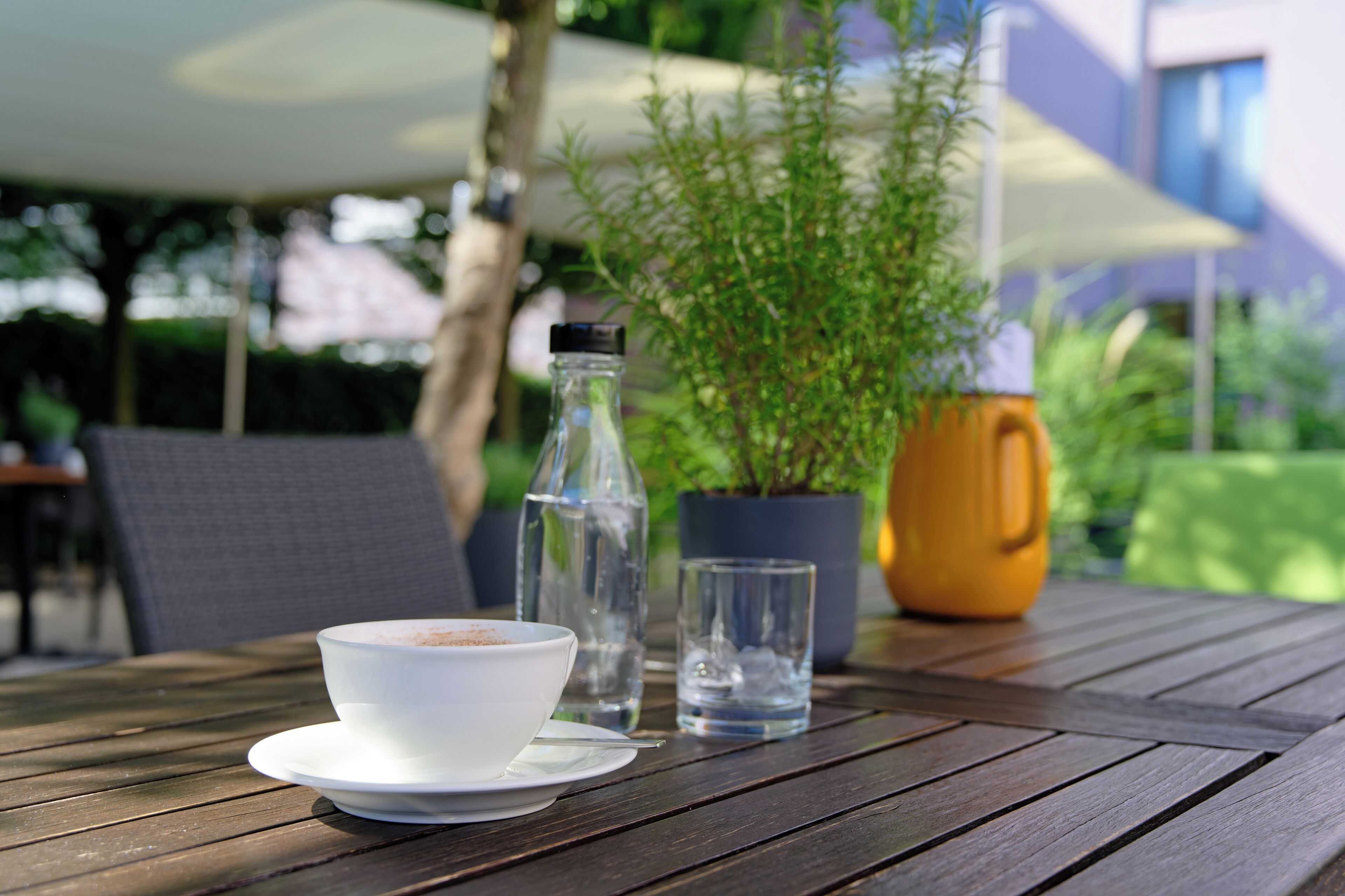 A wooden table with a white cup, a glass of water, a bottle, and a potted plant.