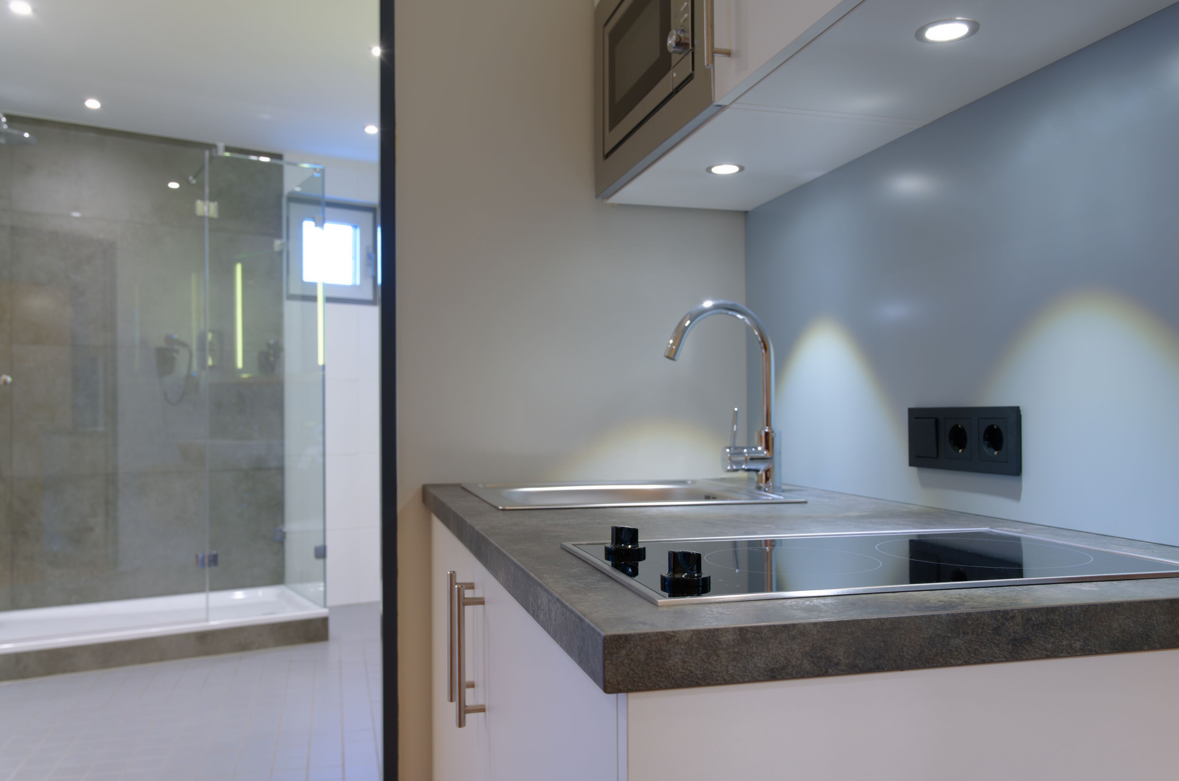 apartment, multiple beds, accessible, kitchenette | private kitchen