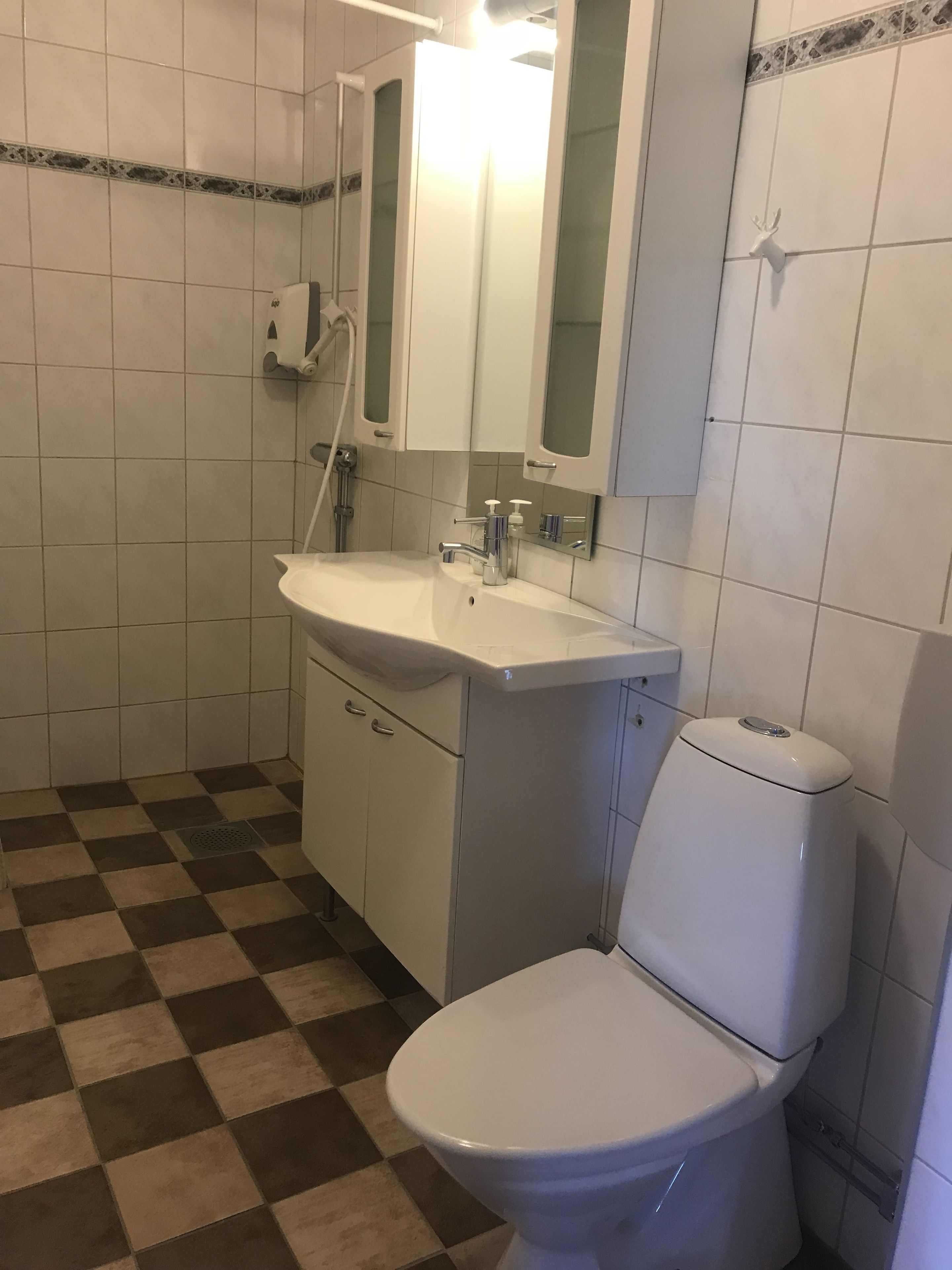 Une petite salle de bain avec des toilettes, un lavabo et une douche.