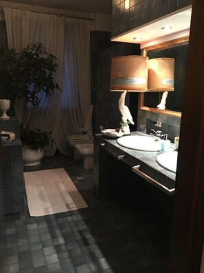 A bathroom with a bathtub, two sinks, a mirror, and a potted plant. - B&B Luisa (Bergamo)
