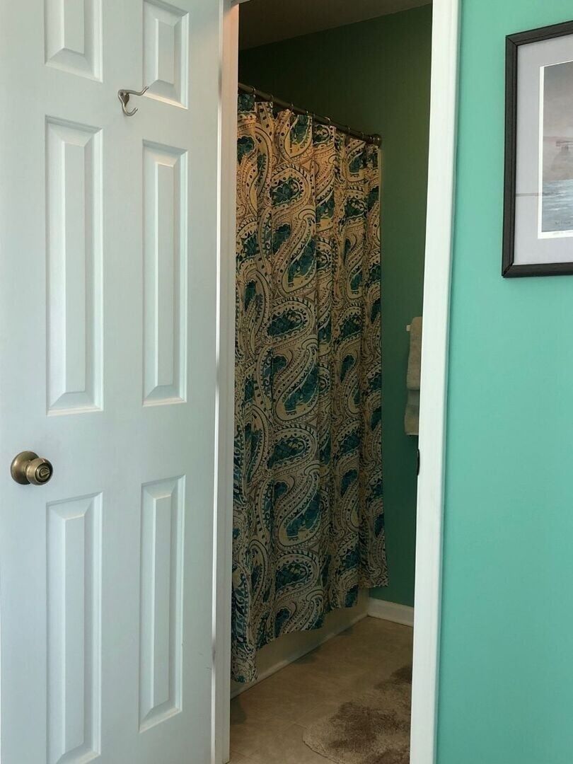 A white door with a brass doorknob, a patterned shower curtain, and a framed picture on the wall.