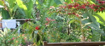 Tetebatu Indah Homestay