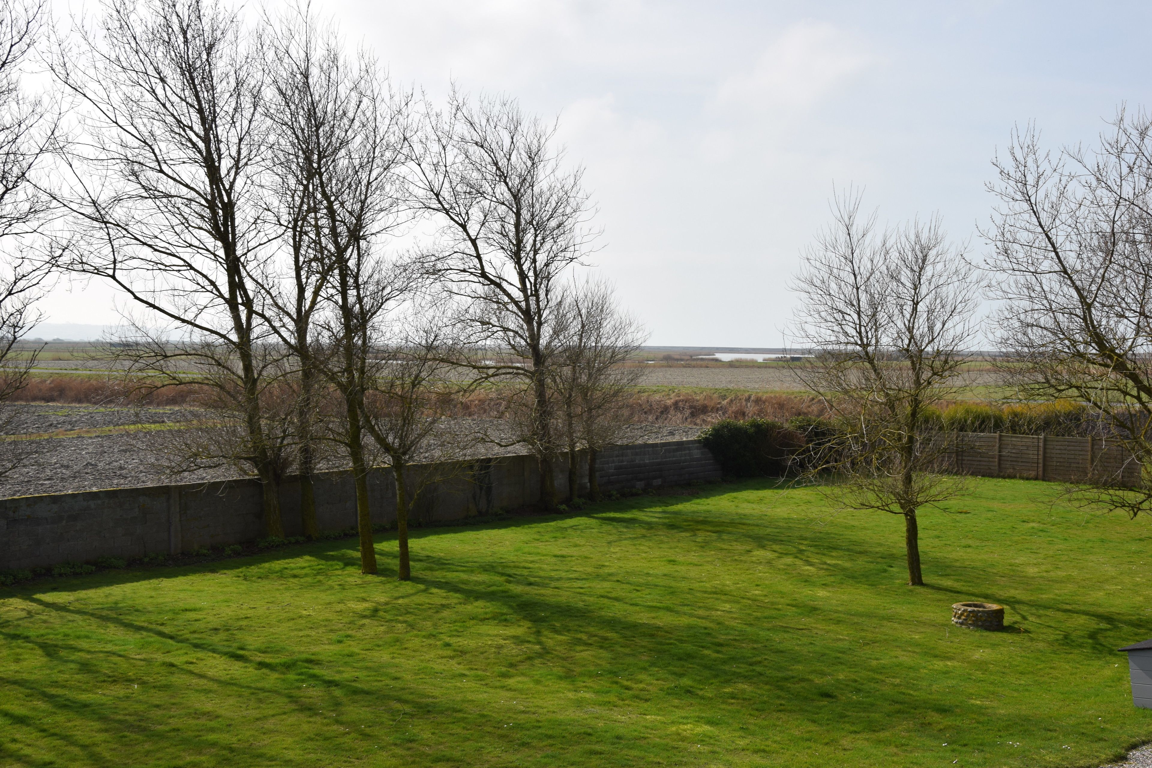 A grassy yard with trees and a stone wall.